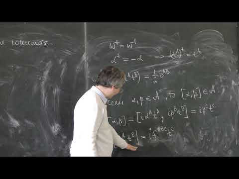 Видео: Степаньянц К. В. - Классическая теория поля - 7. Представления групп и алгебр Ли
