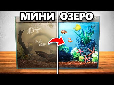 Видео: Я Построил Озёрную Экосистему у Себя на Столе