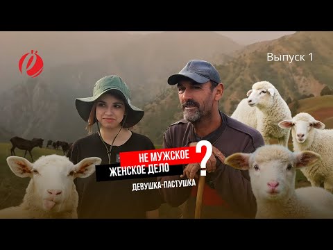 Видео: Девушка на пастбище