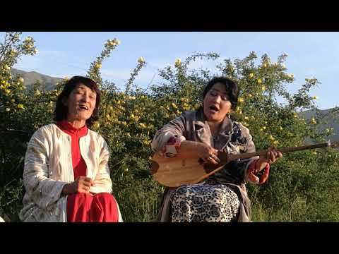 Видео: Екі қыз жақсы айтты. Шарбану Шәриқызы. Нұргүл Жаметова. "Бекарыстаным"