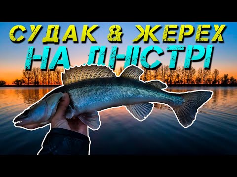 Видео: ✅ОЦЕ ПОКЛЬОВКИ! СУДАК І ЖЕРЕХ НА ДНІСТРІ З ЧОВНА✅