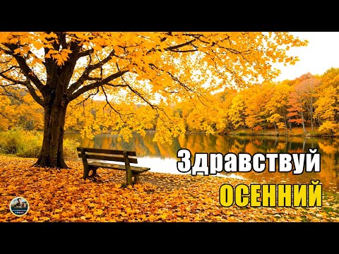Видео: Самая красивая мелодия на свете! Красивая музыка (Осень) Романтическая расслабляющая музыка
