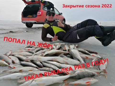Видео: ТАКАЯ РЫБАЛКА БЫВАЕТ ЛИШЬ РАЗ! Рыбалка 2022.