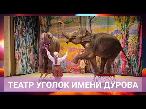 Видео: Театр Уголок Дедушки Дурова | По следам Снежной Королевы