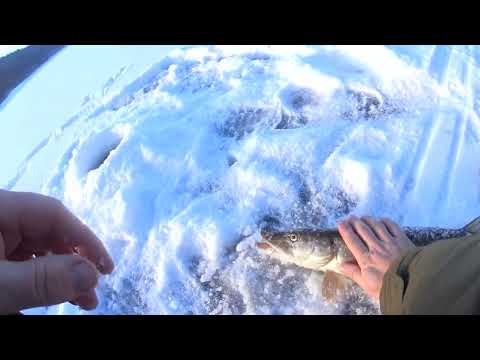 Видео: ПОСЛЕДНЯЯ РЫБАЛКА УХОДЯЩЕГО  2023 ГОДА.