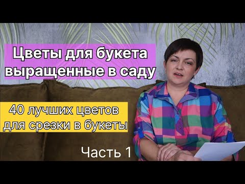 Видео: Цветы для букетов. Выращивание на срезку. Часть 1.