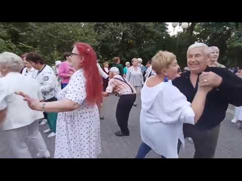 Видео: Чёрная смородина........22.09.24 Гомель парк Луначарского 🥰