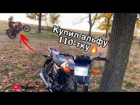Видео: Купил Альфу чемп в неплохом состоянии👌Обзор‼️|Шумахеры.