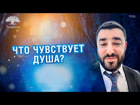 Видео: Какие чувства испытывает душа, оказавшись на том свете? (Рав Исраэль Якобов) Цикл: жизнь после жизни