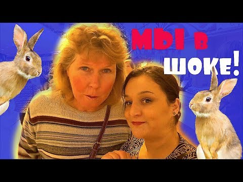 Видео: VLOG : ШОК от СПЕКТАКЛЯ В ТЕАТРЕ  БАБКИНОЙ ..почему мы ушли!!!