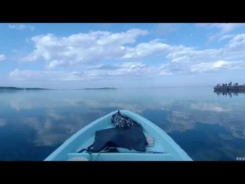 Видео: Осьминоги. дайвинг в море. Подводный мир. Мидии. Гребешок. Дайвинг в японском море.