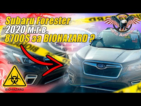 Видео: Subaru Forester 2020/2019 г.в. Купли в США за 8700$! [авто из США под ключ 2021]