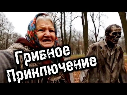 Видео: БаБкИны грибные приключения.Ии собирает треш #нейросети #приключения #бабуля #грибы 
