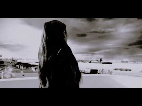 Видео: В последний раз (slowed + reverb) by Domi Gnoz