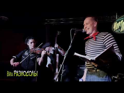 Видео: Василёчки. ВИА Разносолы