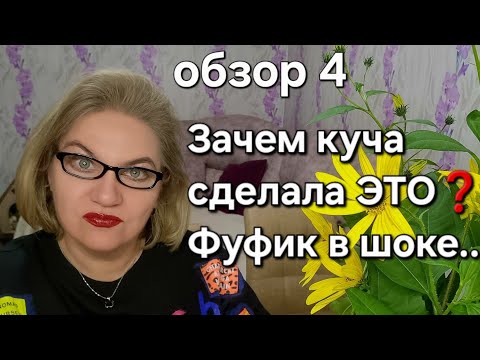 Видео: Зачем куча сделала ЭТО❓️Фуфик в шоке 😱❗️