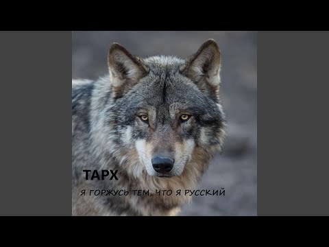 Видео: Я горжусь тем, что я Русский