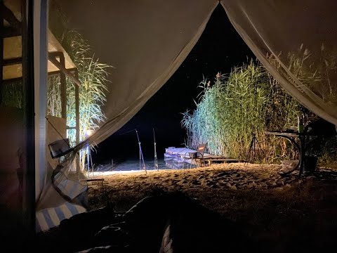 Видео: "ПОЛКОВНИЦКИЕ ПРУДЫ" Отдых для ДУШИ! Ловля ЛЕЩА и его друзей...