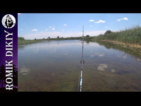 Видео: Рыбалка на змееголова.  Топарские озера. (17-20 июля 2020г)
