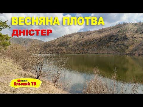 Видео: Весняна плотва