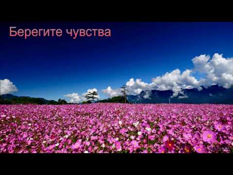 Видео: "Берегите чувства" (Любовь и влюблённость). М. Голубин. МСЦ ЕХБ.