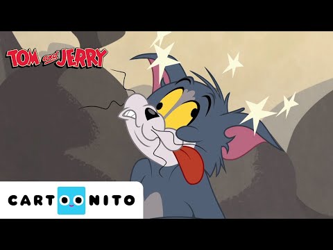 Видео: Компилация „Бъдещето на Том“ | Том и Джери | Cartoonito