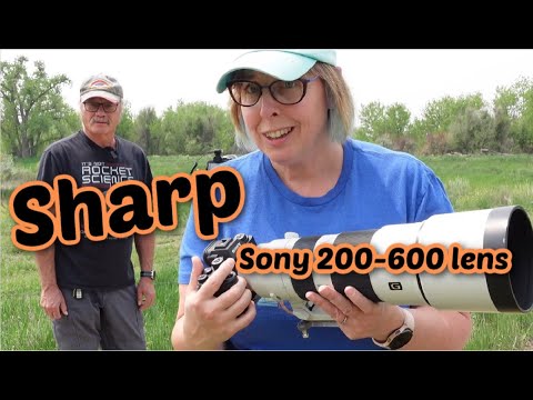 Видео: Объектив Sony 200-600. 12 советов для МАКСИМАЛЬНОЙ ФОКУСИРОВКИ