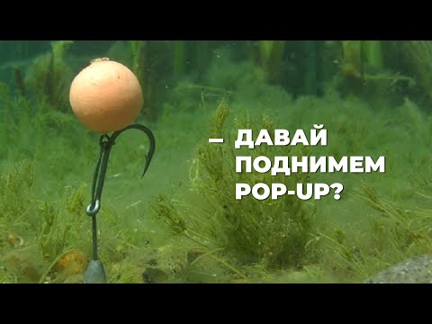 Видео: Как отгрузить поп-ап для ловли карпа