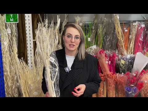 Видео: Сухоцветы как бизнес: как флористу начать зарабатывать на букетах, которые не вянут!