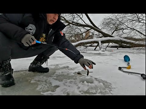 Видео: первый лед 23-24 москва! это вам не якутия!