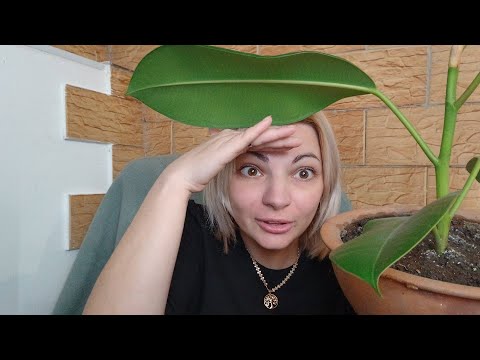 Видео: Руся и Америка - Света шуруй в ОКОПВ . Как так можно нагло ВРАТЬ .