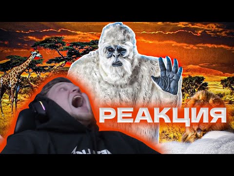 Видео: Вангоу смотрит В АФРИКЕ ГОЛОДАЮТ ЙЕТИ(((( | нарезка стрима onego_uwu