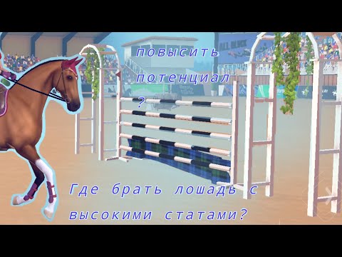Видео: ||•Eqestrian the game•|| как повысить потенциал лошади? || где взять хорошие статы? ||