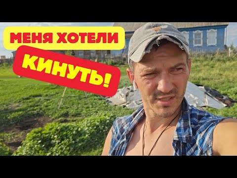 Видео: Уникальные моменты деревенской жизни I Как поймать пчёл I Новые-старые ульи I Ремонт загона для птиц