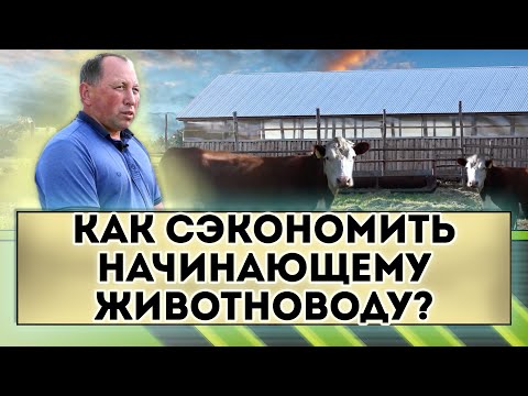Видео: Как сэкономить начинающему животноводу?