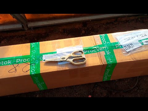 Видео: Обзор и Распаковка Посылки с Растениями!