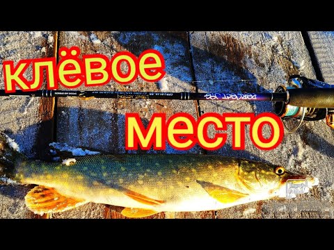 Видео: Щука в ноябре.джиг.crazy fish perfect jig 0.6-7гр.