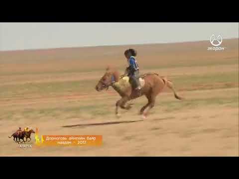 Видео: Дорноговь баяр наадам 1 р хэсэг 2017