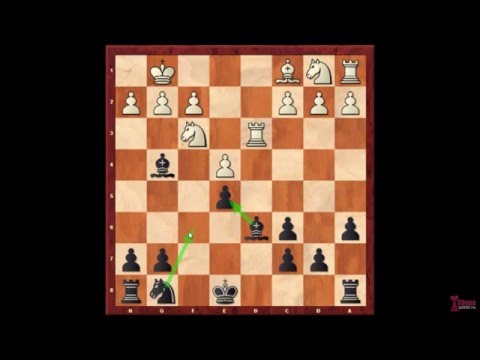 Видео: Испанская партия. Разменный вариант (за чёрных)