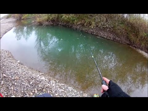 Видео: ЛОВЛЯ ГОЛАВЛЯ. ЯК ловити ГОЛАВЛЯ ПІЗНЬОЮ ОСІННЮ. риболовля на голавля. пошуки голавля на річці