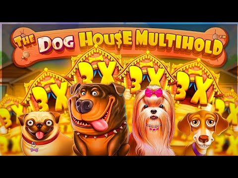 Видео: ЛЕГЕНДАРНАЯ СЕССИЯ В THE DOG HOUSE MEGAWAYS?! СЛОВИЛ НЕРЕАЛЬНЫЙ ЗАНОС?! ЗАНОСЫ НЕДЕЛИ?!