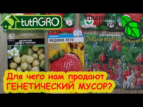 Видео: ШОК! Нам продают МУЖСКУЮ клубнику и МУСОР! Эти семена - деньги на ветер! Не покупайте ВЫБРАКОВКУ!