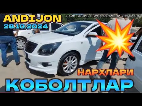 Видео: КОБОЛТ НАРХЛАРИ АНДИЖОН KOBOLT NARHLARI ANDIJON 28.10.2024