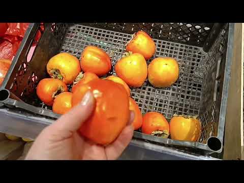 Видео: 31 октября 2025 г.