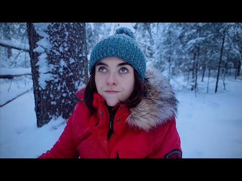 Видео: В ожидании особенной белки... -14°C в шведском лесу