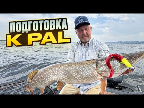 Видео: Чуланов СНОВА ПОБРАЛ РЫБЕЙКИ! Тренировки перед PAL 2025
