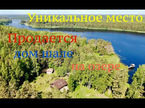 Видео: Продается дом на озере, первая линия, красивое чистое озеро Селигерский край Тверская область