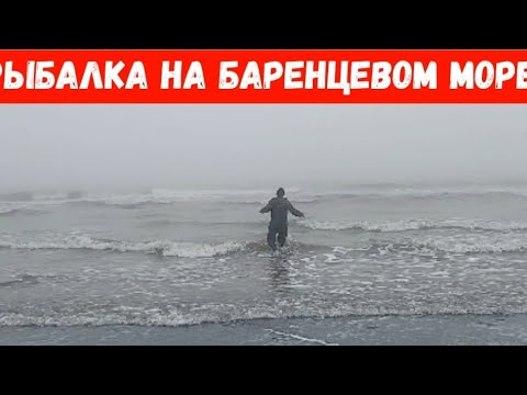 Видео: РЫБАЛКА НА БАРЕНЦЕВОМ МОРЕ 🌊