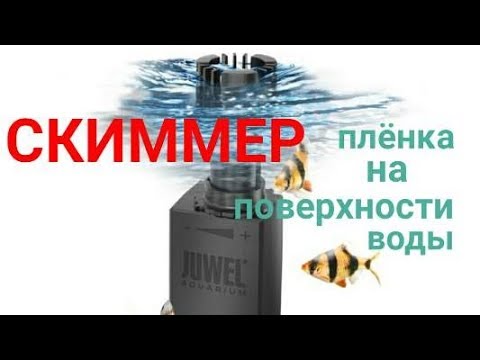 Видео: Скиммер. Плёнка на поверхности воды в аквариуме.  Аквариум 250×60×50 на 750 литров. Часть 24.