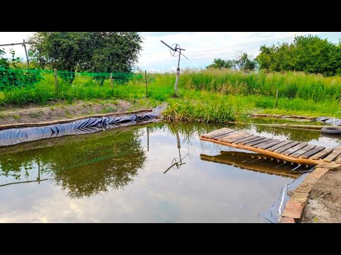Видео: Делаю мостик наа садовом пруду. Купаемся и рыбачим в саду